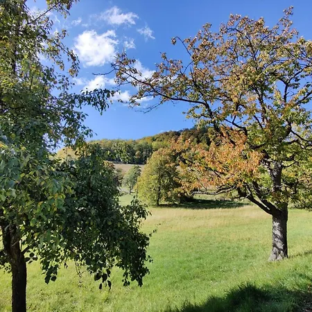In Mit Grill Und Terrasse By Interhome * Holzhausen (Herleshausen)